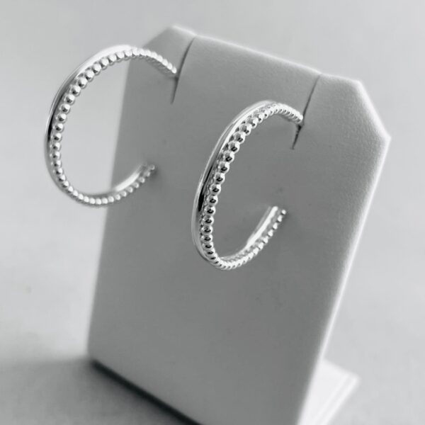 Silver hoops on a earring holder